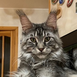 Gabby from Cat Harbour