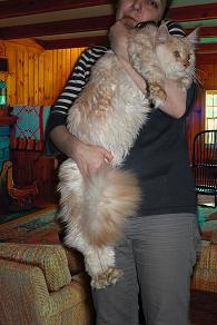 Wonderful Krasnyi Dar - мейн-кун 01.04.2011