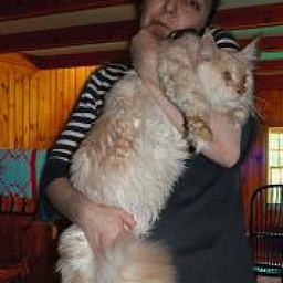 Wonderful Krasnyi Dar