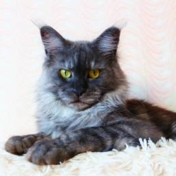 HoneyDevil Fleur de Lis