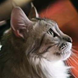 Love Hulen's Silver Princess