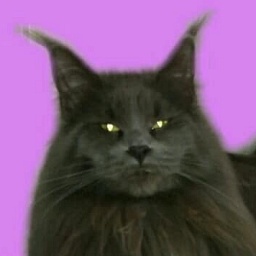 Planeta Kunov Zarina