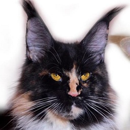 Sharm World La Fayette