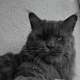 Sharm World Tornado Blue