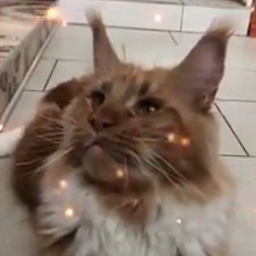 Sharm World Paso Doble