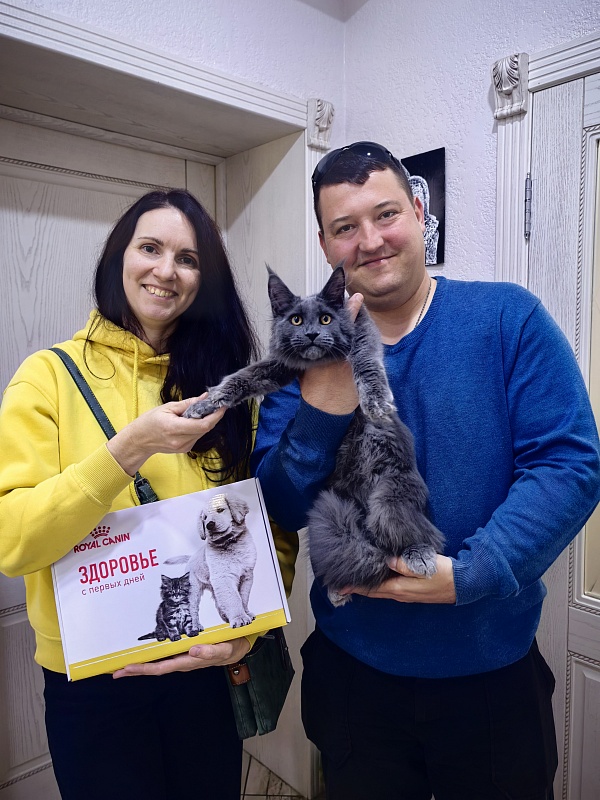 Pluto Akbars - Kitten maine-coon 5 months