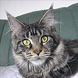 Langstteich's L'Panorama