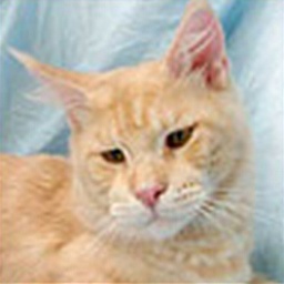 Justcoon's I Came For You