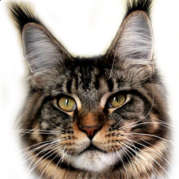 Elisei of Talina City