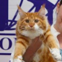 XXX-Lady Krasnyi Dar