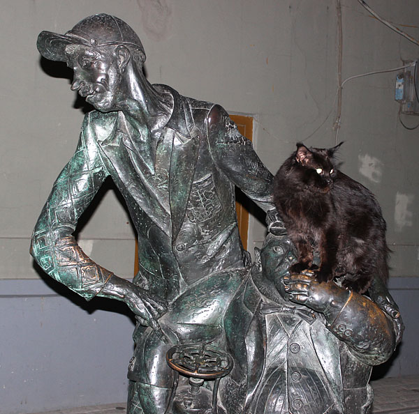 Pillowtalk's Genesis - maine-coon