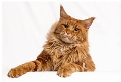 Aisman Vip Persona - мейн-кун