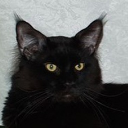 Valthasar Blackjack PP