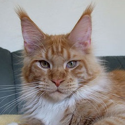 Langstteich's N'Xalibur