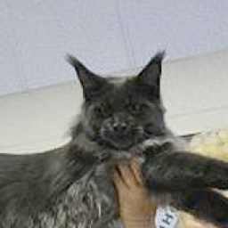 Ivory Coast from Tassel Magic