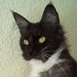 Highfidelity Spooky Secret