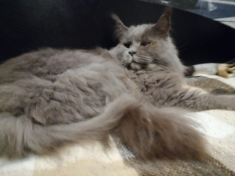 Avatar Paborito - мейн-кун 01.08.2021