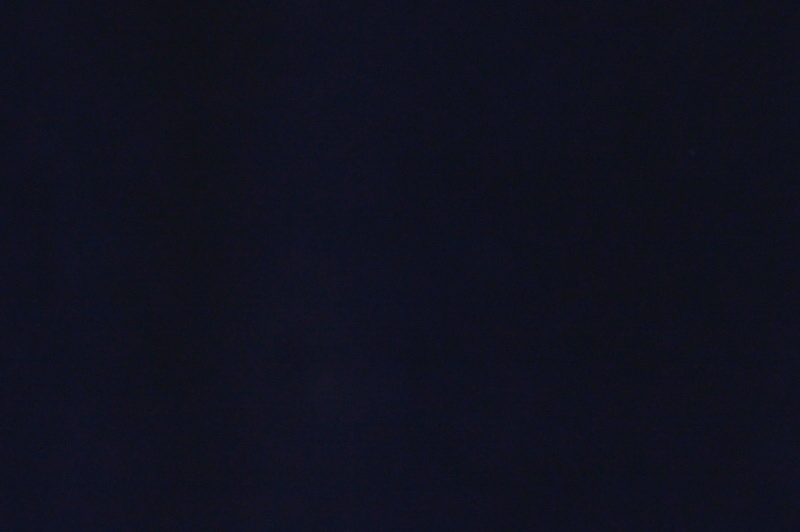 Tanker Akbars - Kitten maine-coon 5 months 3.5 weeks