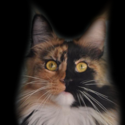 Soul Dream Silver Aqualion