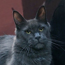 Mainefield's Annie Get Your Gun