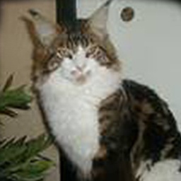 Pillowtalk's West Point