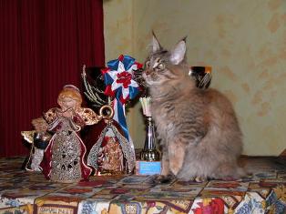 Sebasco Nova Scotia - мейн-кун