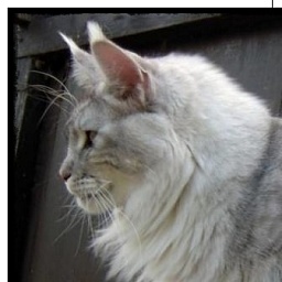 Jicarilla of El Dorado