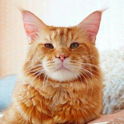 SugarIslands Vulcano